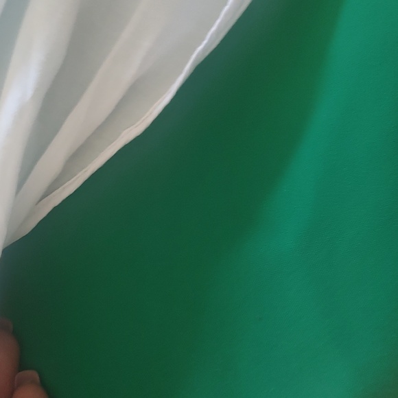 The Limited dress pants - Picture 5 of 5